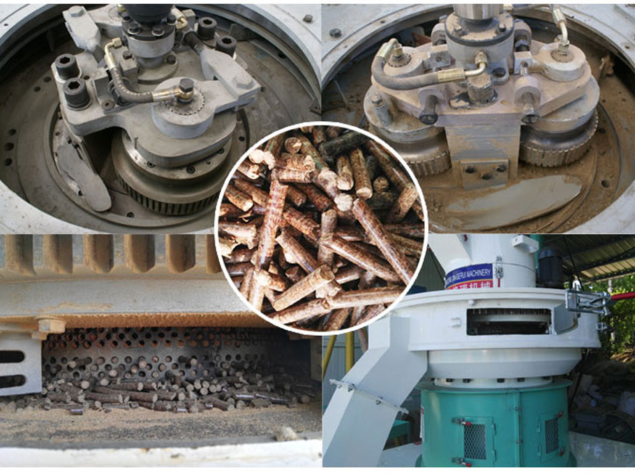 午夜美女福利视频內部結構及顆粒