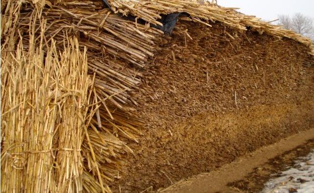 玉米秸稈 玉米秸稈