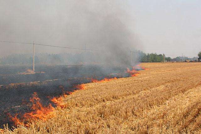 秸稈焚燒 生物質午夜美女福利视频械