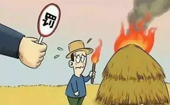 禁燒秸稈 生物質午夜美女福利视频械