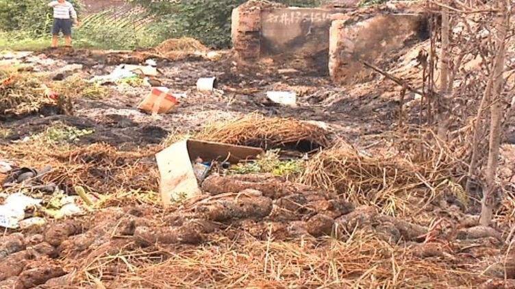 畜禽糞便亂堆現象 生物質午夜美女福利视频械