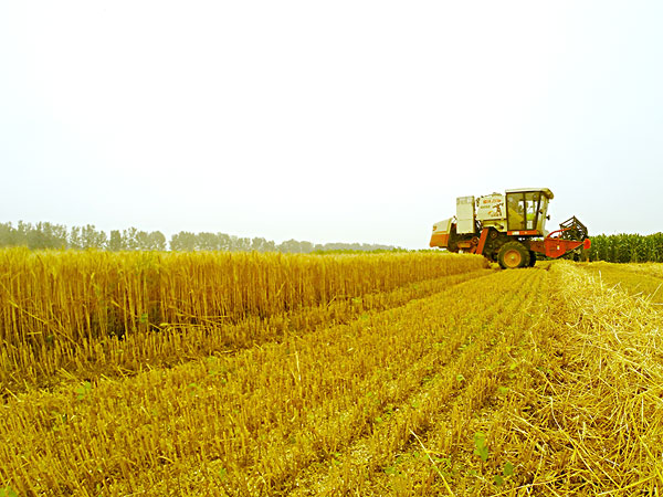 生物質資源 生物質午夜美女福利视频械