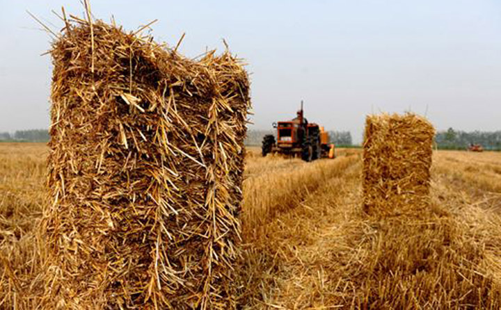 生物質資源豐富 生物質午夜美女福利视频械