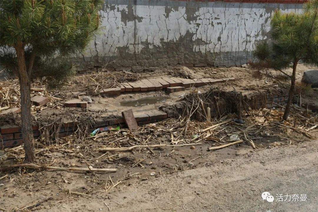 農村垃圾無序堆放 生物質午夜美女福利视频械