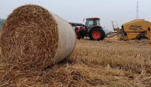 生物質資源豐富 生物質午夜美女福利视频械