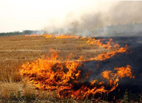 生物質午夜美女福利视频械