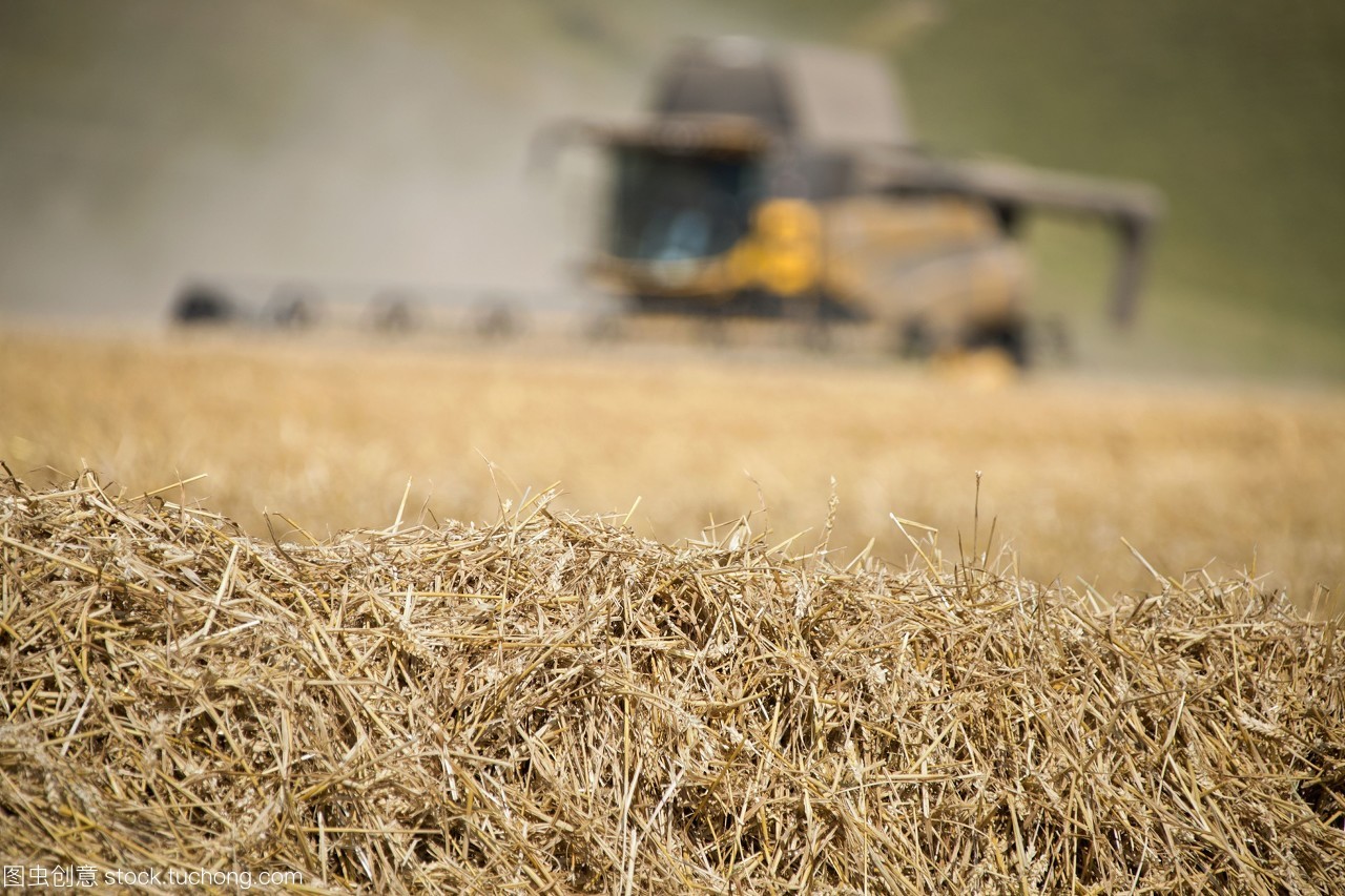 生物質午夜美女福利视频械