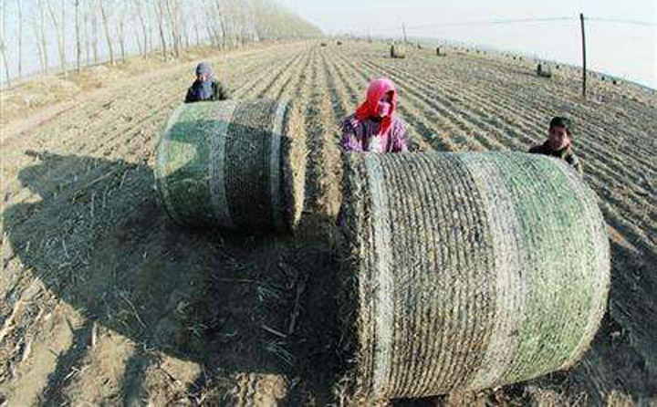 生物質午夜美女福利视频械