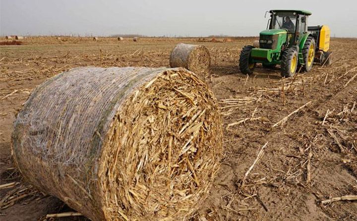 生物質午夜美女福利视频械