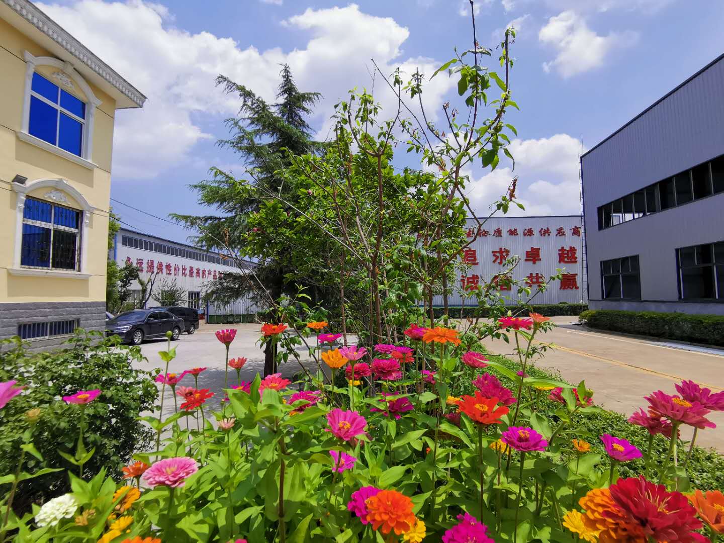 山東木屑午夜美女福利视频廠家