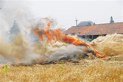 農林廢棄物焚燒 生物質午夜美女福利视频械