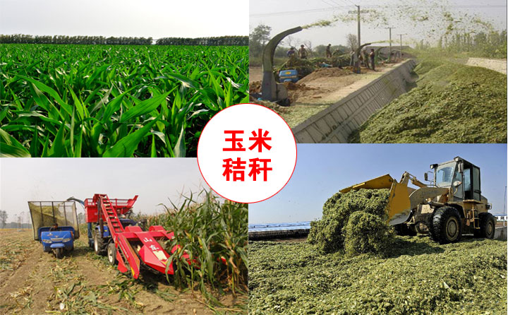 玉米秸稈綜合利用 生物質午夜美女福利视频械