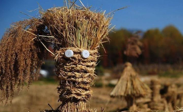 生物質燃料午夜美女福利视频原材料