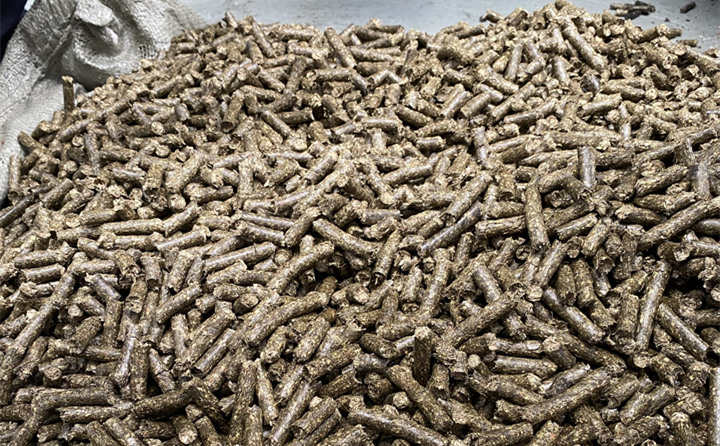 廚餘垃圾生物燃料 廚餘垃圾生物燃料