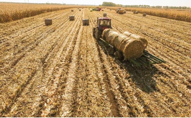 生物質午夜美女福利视频原料 生物質午夜美女福利视频原料