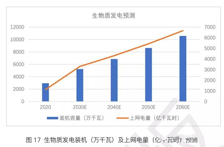 生物質發電機 生物質發電機