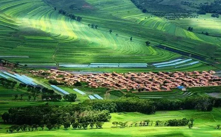 近日，甘穀縣農業農村項目建設服務中心全體幹部來到大石鎮李灣村開展我為群眾辦實事活動