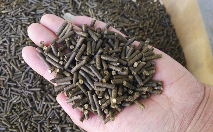 生物質燃料午夜美女福利视频加工顆粒燃料