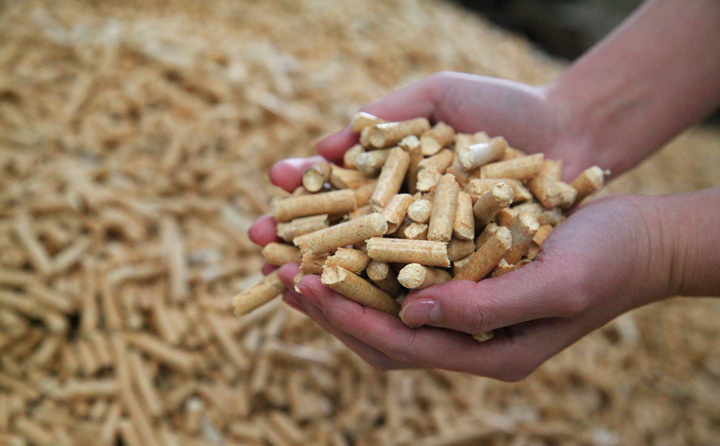 生物質燃料午夜美女福利视频生產的顆粒燃料