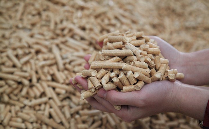 木材邊角料和秸稈可別扔了，用生物質午夜美女福利视频加工，可以變成顆粒燃料，可以賣也可以自己用