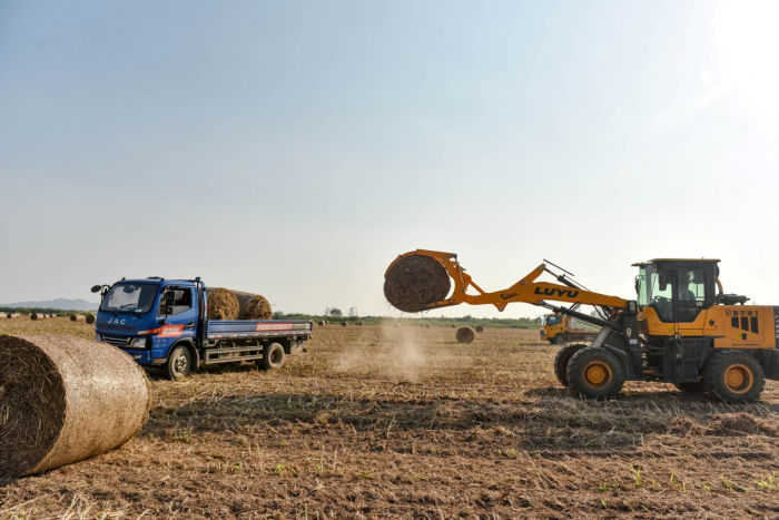 秸稈廢物利用 秸稈廢物利用