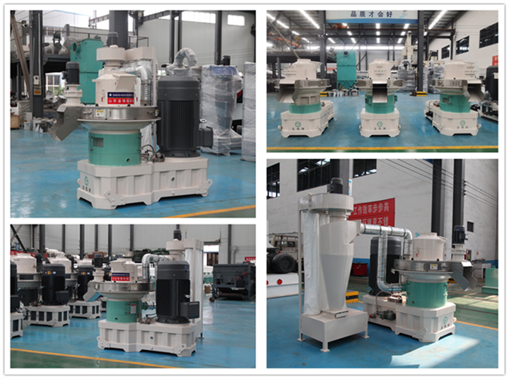 河北生物質午夜美女福利视频 河北生物質午夜美女福利视频