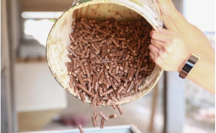 生物質午夜美女福利视频的燃料