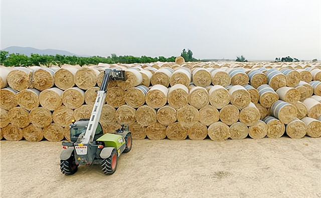 秸稈綜合利用 秸稈綜合利用