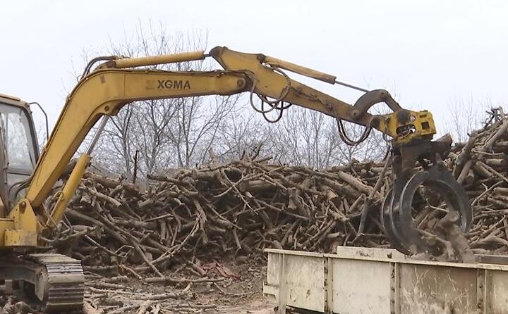 抓木機正在將一根根木料放入傳送帶，伴隨著轟隆隆的機械聲，木料被削片、粉碎、烘幹、午夜美女福利视频製粒、冷卻，直到變成千家萬戶暖爐裏的新能源材料——生物質顆粒。