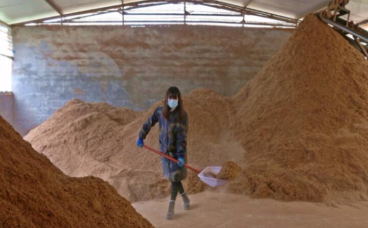 生物質顆粒燃料是一種新型潔淨燃料