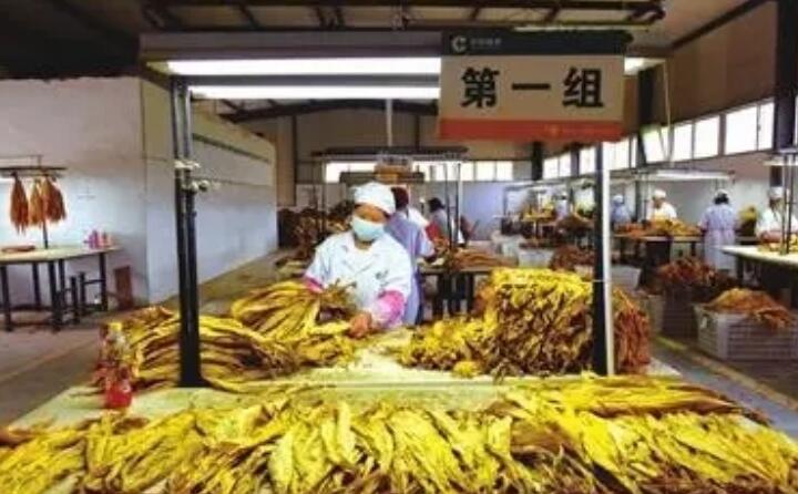 生物質顆粒為貴州煙農帶去的轉變 生物質顆粒為貴州煙農帶去的轉變