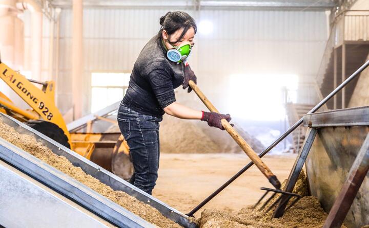 工人們正在把“生物垃圾”加工製成生物質顆粒燃料