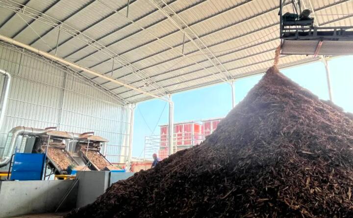 伴著轟隆隆的機器聲，食指長短的生物質顆粒就被生產出來，從傳輸帶上傾瀉而下，在成品區堆成小山丘。