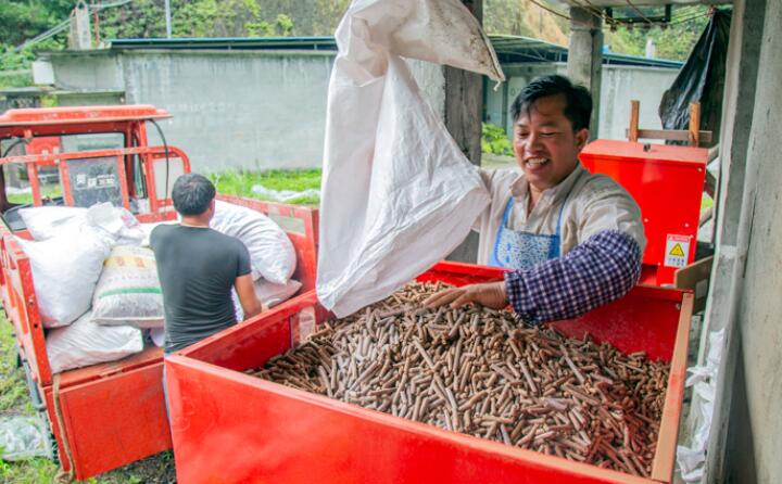 生物質午夜美女福利视频加工的生物質顆粒燃料