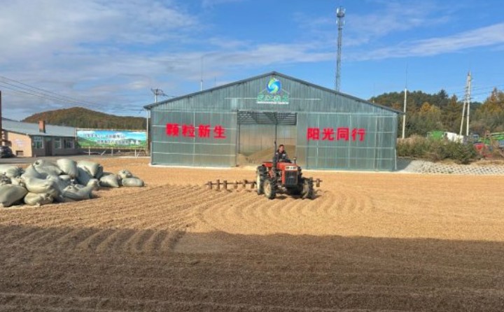 黑龍江鶴立林業局：生物質顆粒產業點燃綠色發展新引擎
