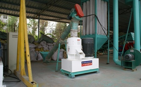 350平模木屑午夜美女福利视频