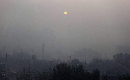 生物質午夜美女福利视频助你致富一臂之力