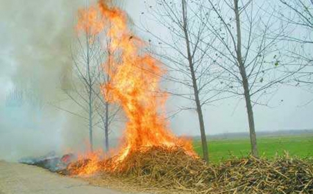 為什麽說生物質行業的發展前景非常廣闊？
