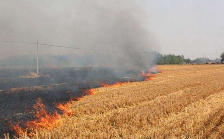農作物後的秸稈不能燒，用了秸稈午夜美女福利视频能變錢！
