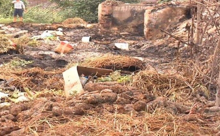 生物質午夜美女福利视频能有效解決畜禽糞便的汙染問題