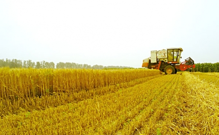 發展生物質午夜美女福利视频，作用良多