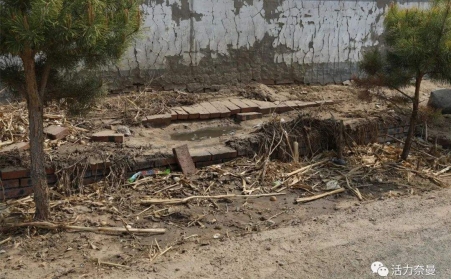 生物質午夜美女福利视频的發展，對處理農村垃圾具有重要意義