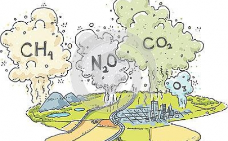 秸杆如何綜合治理，秸稈午夜美女福利视频來幫忙！