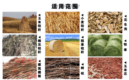 木屑午夜美女福利视频有效處理農村廢棄物，發展生物質能源