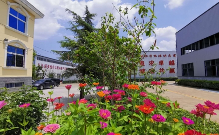 秸稈午夜美女福利视频哪家好？