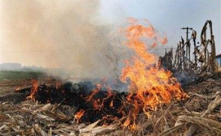 秸稈午夜美女福利视频讓秸稈成農民眼中“香餑餑”！