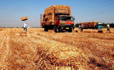 生物質燃料午夜美女福利视频原料有哪些？重要麽？