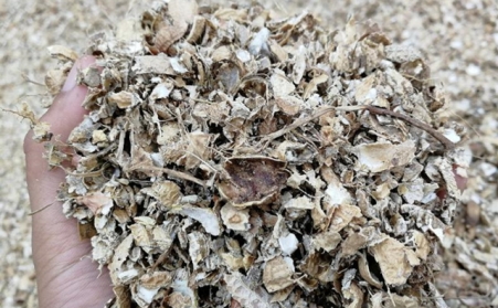 為什麽有人願意花錢買生物質燃料午夜美女福利视频來加工稻殼花生殼呢？有必要嗎？