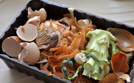 外國能源部科學家們正在將食物垃圾用生物質午夜美女福利视频轉化為清潔可再生的燃料