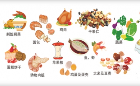 我國明確對非居民廚餘垃圾處理按“產生者付費”原則計量收費,你的垃圾怎麽辦？垃圾生物質午夜美女福利视频幫你解決